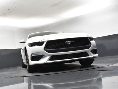 2025 Ford Mustang EcoBoost Fastback