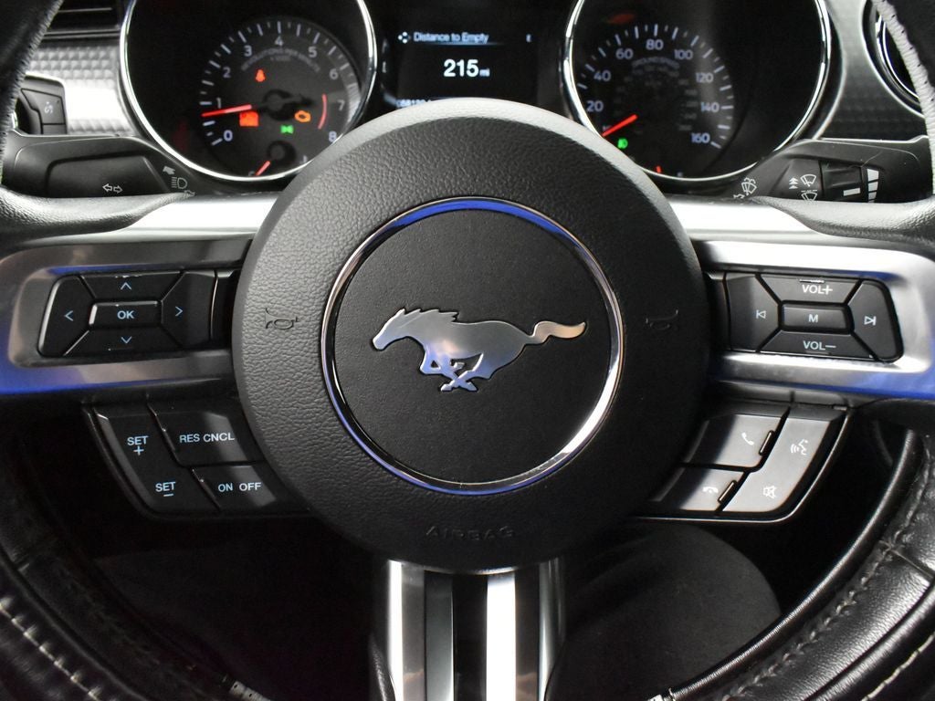 2017 Ford Mustang GT 300A