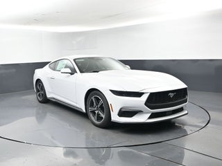 2025 Ford Mustang EcoBoost 101A