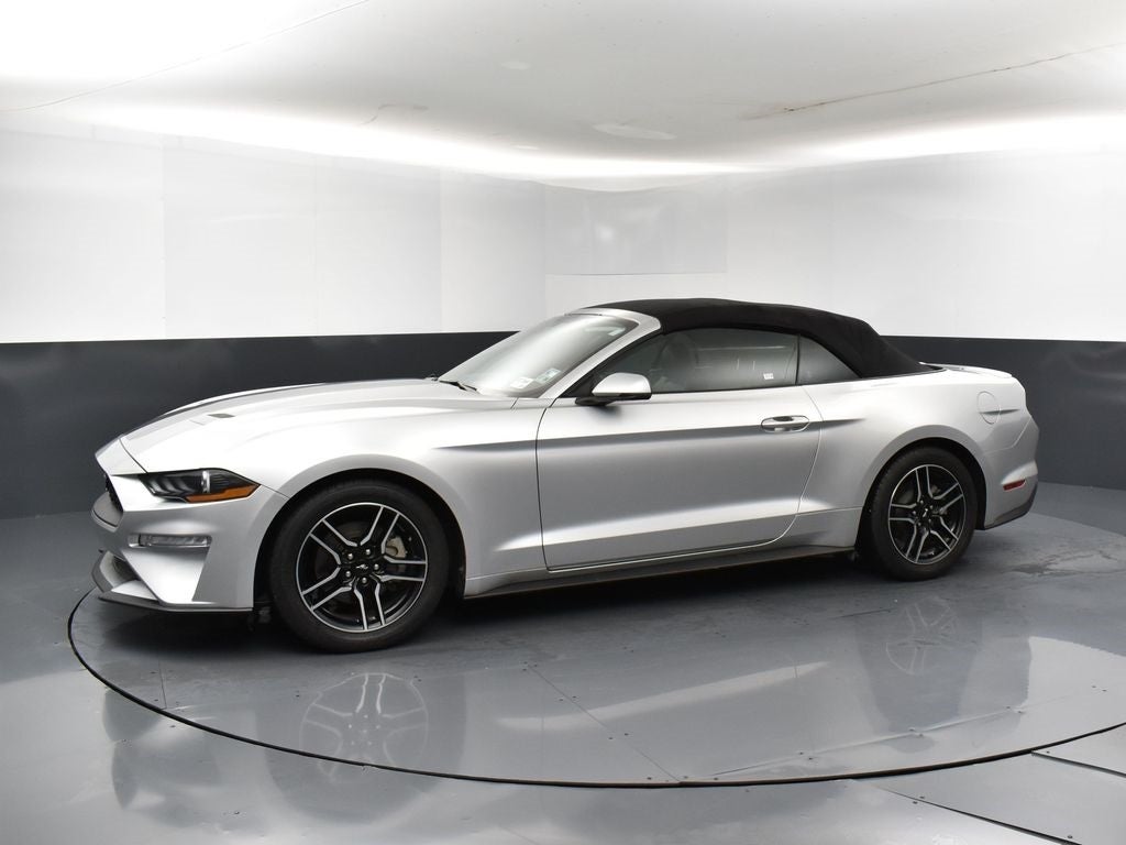 Used 2019 Ford Mustang EcoBoost Premium with VIN 1FATP8UH7K5170584 for sale in La Place, LA