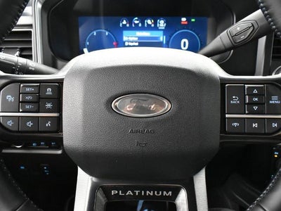 2025 Ford F-250SD Platinum 703A