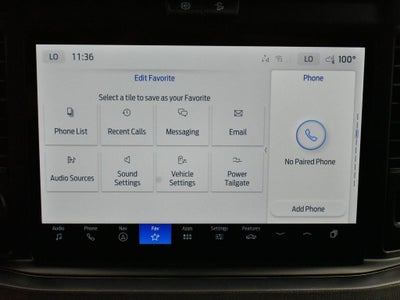 2025 Ford F-250SD Platinum 703A