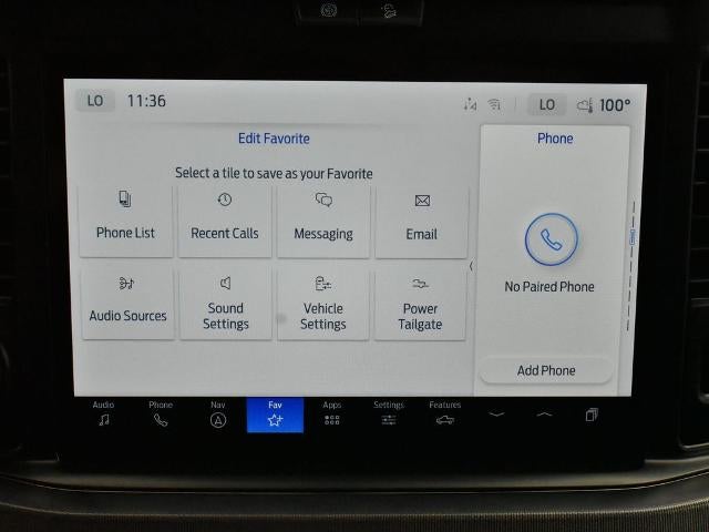 2025 Ford F-250SD Platinum 703A