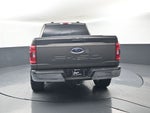 2021 Ford F-150 XLT 302A