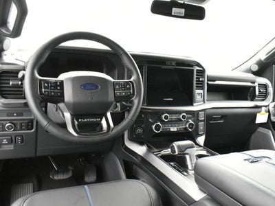 2025 Ford F-150 Platinum 702A