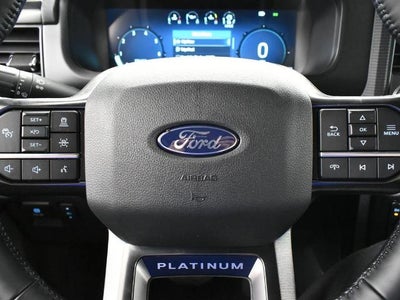 2025 Ford F-150 Platinum 702A