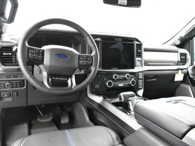2025 Ford F-150 Platinum 702A