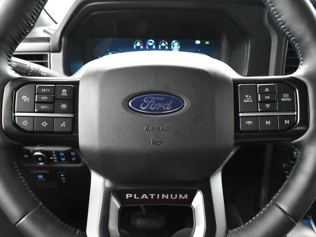 2025 Ford F-150 Platinum 702A