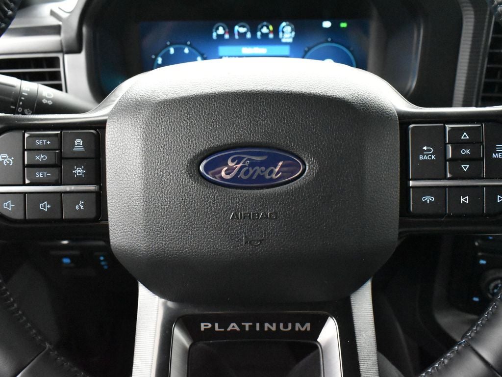 2025 Ford F-150 Platinum 702A