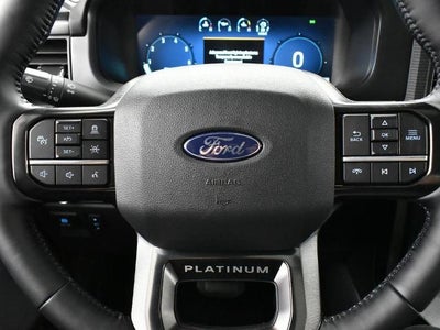 2025 Ford F-150 Platinum 702A