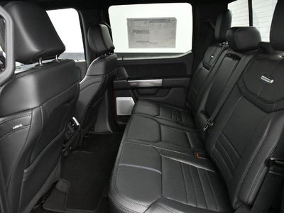 2025 Ford F-150 Platinum 702A