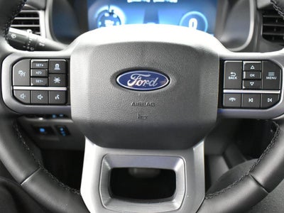 2025 Ford F-150 Lightning Flash 312A