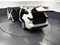 2022 Toyota Highlander Hybrid Limited